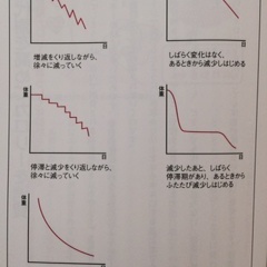 耳ツボで体質改善ダイエット