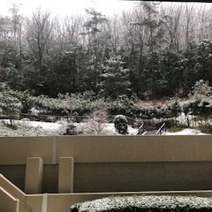 今年初めての雪景色　♪