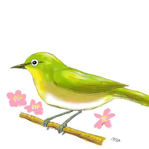 もう春です！ウグイスが鳴いています♪